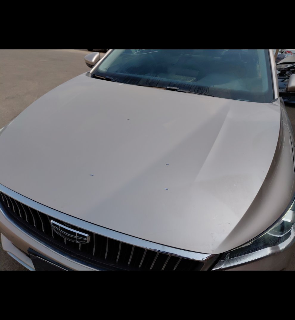 Geely Emgrand LUXURY  2023 image