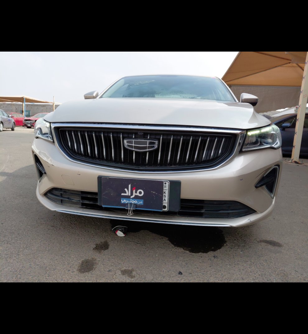 Geely Emgrand LUXURY  2023 image