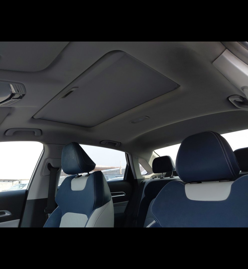 Geely Emgrand LUXURY  2023 image