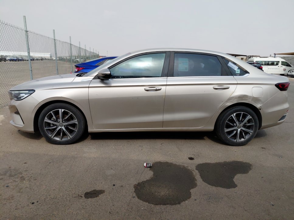 Geely Emgrand LUXURY  2023 image