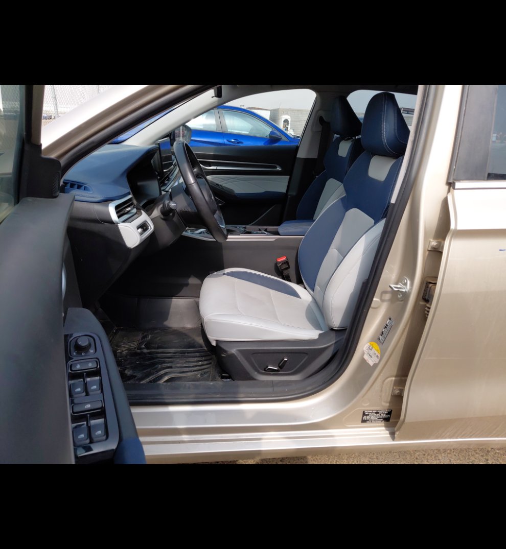 Geely Emgrand LUXURY  2023 image