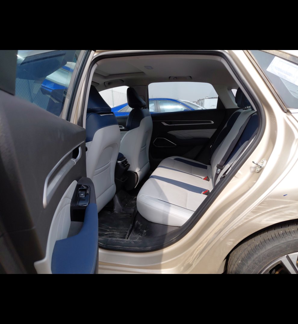 Geely Emgrand LUXURY  2023 image