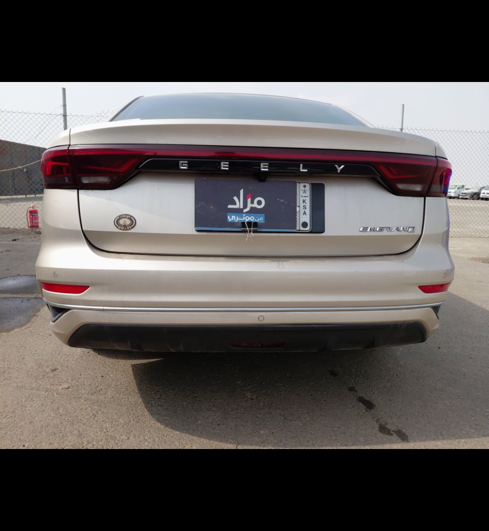 Geely Emgrand LUXURY  2023 image