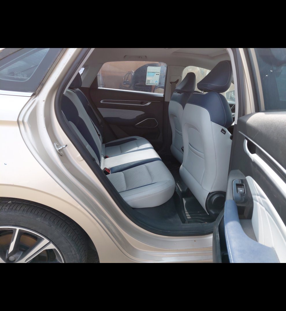 Geely Emgrand LUXURY  2023 image