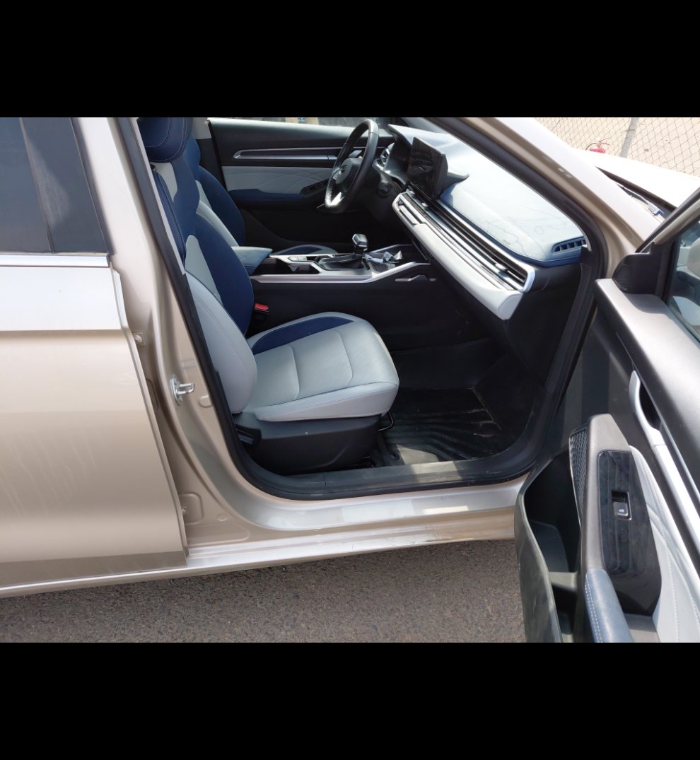 Geely Emgrand LUXURY  2023 image