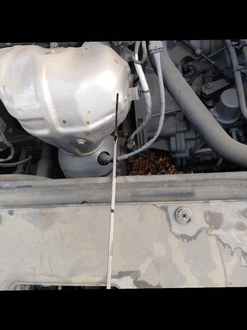 إم جي 5  2022 image