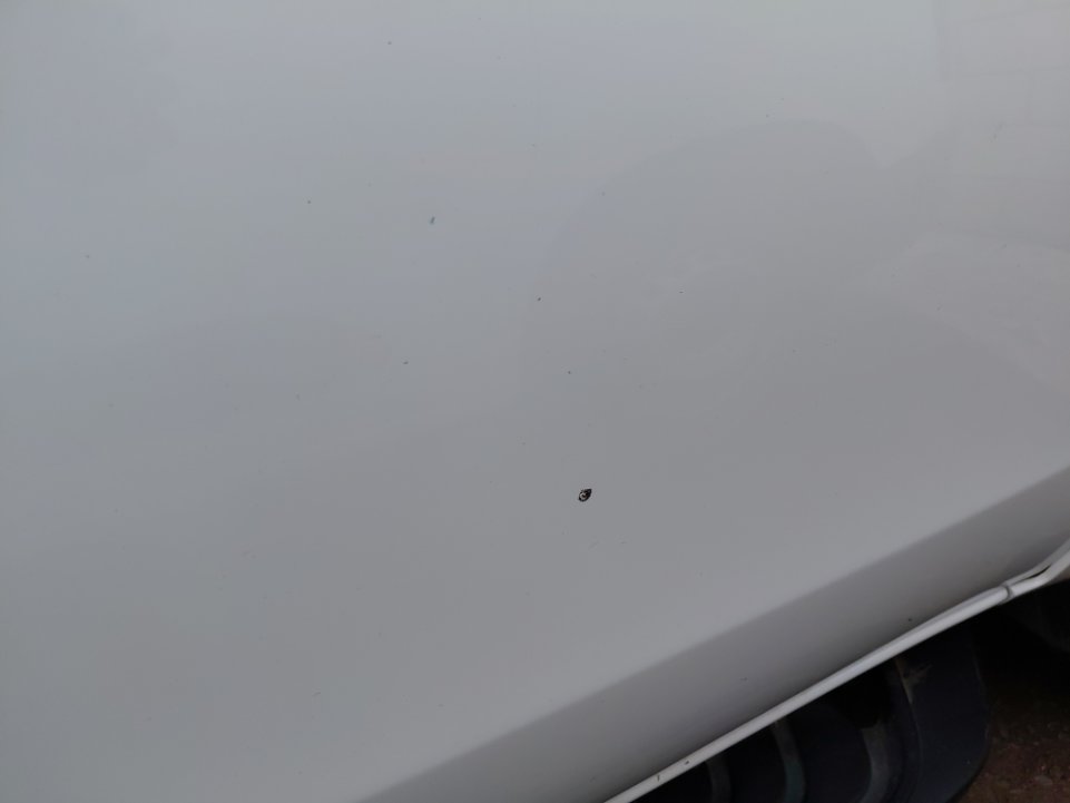 جا ام سي فيجوس 4x4 2023 image