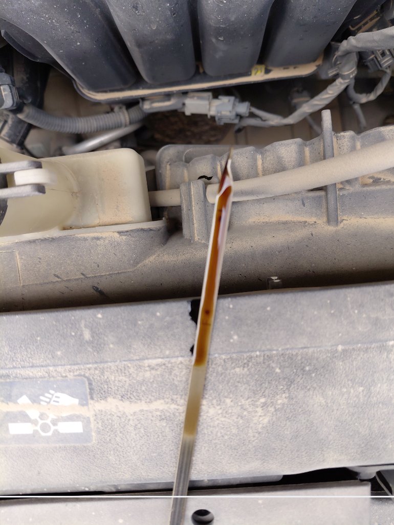 هيونداي إلنترا GL 2020 image