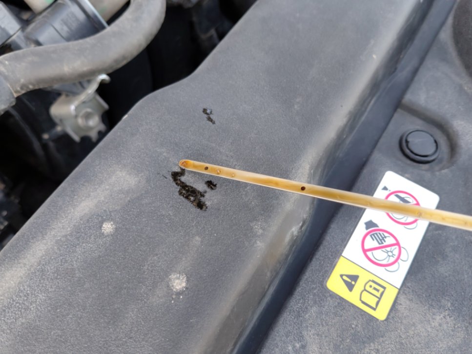 Toyota Corolla XLI EXECUTIVE 2021 image