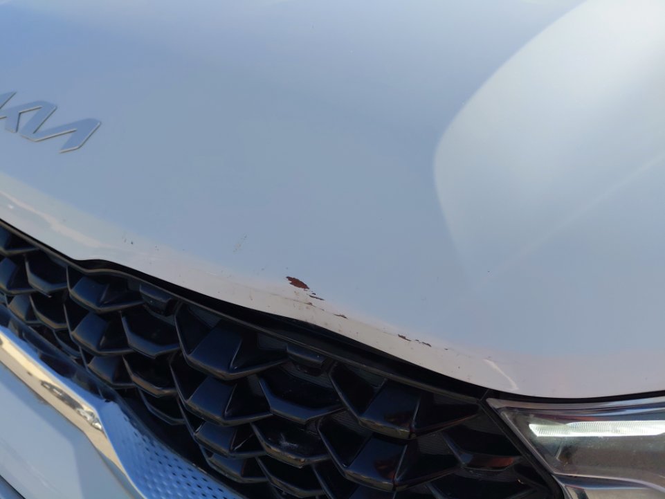 KIA Sonet EX Sports  2023 image