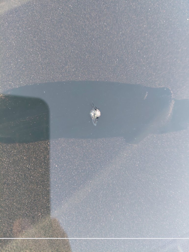 Toyota Yaris SD Y PLUS  2021 image