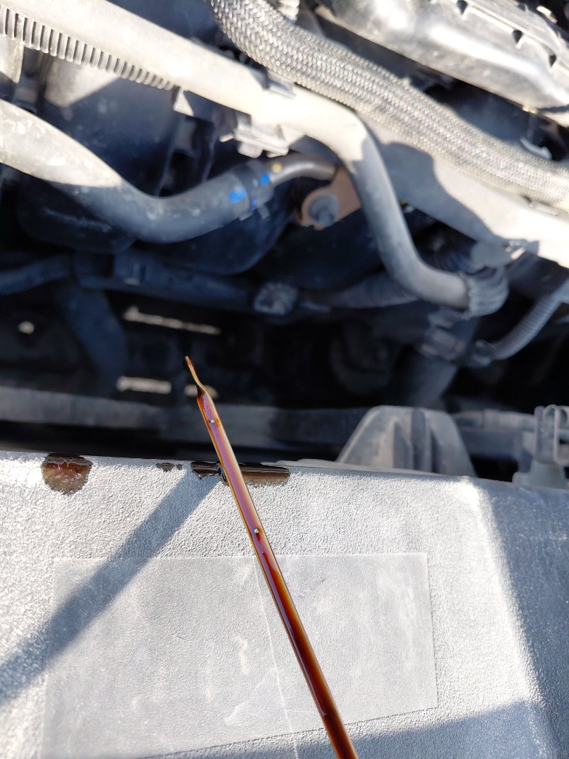 Toyota RAV4 LE 2 HEV SPORTS  2021 image