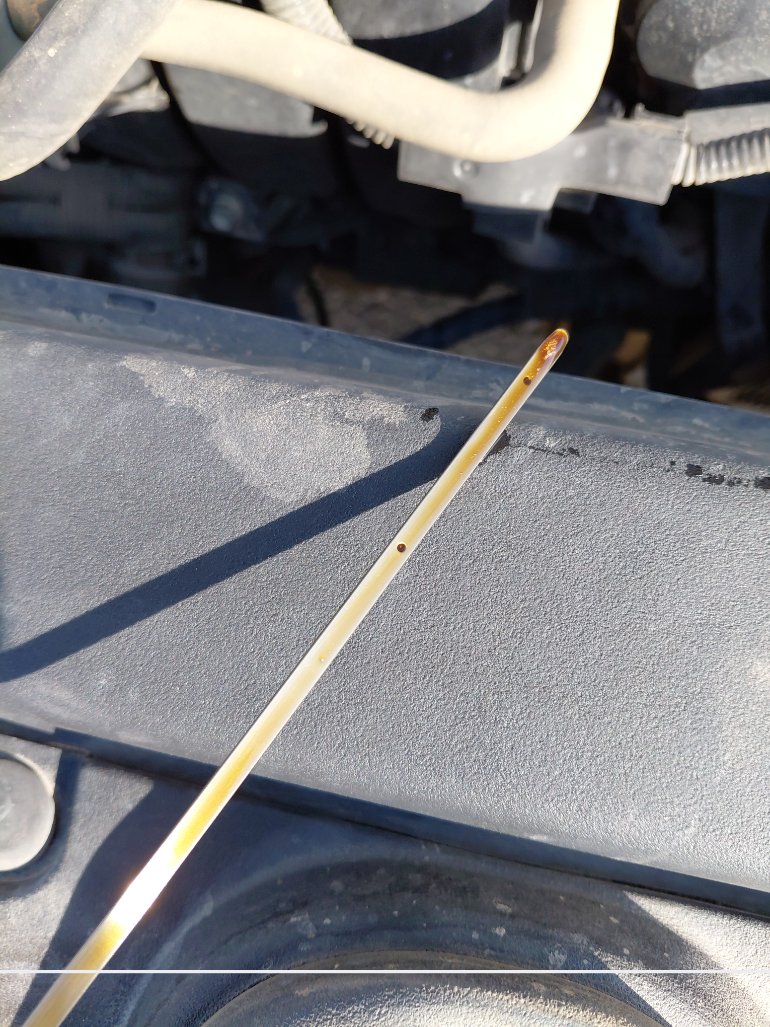 تويوتا كورولا  XLI EXECUTIVE  2021 image