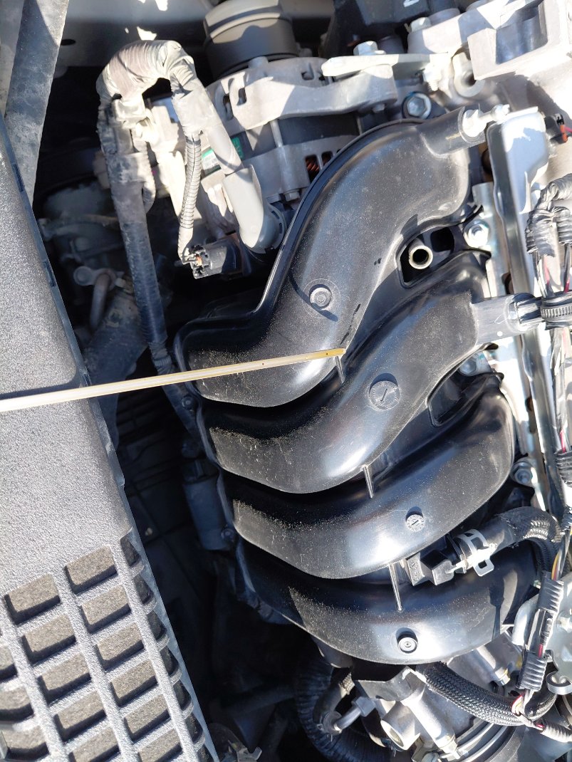 Toyota Corolla XLI EXECUTIVE 2020 image