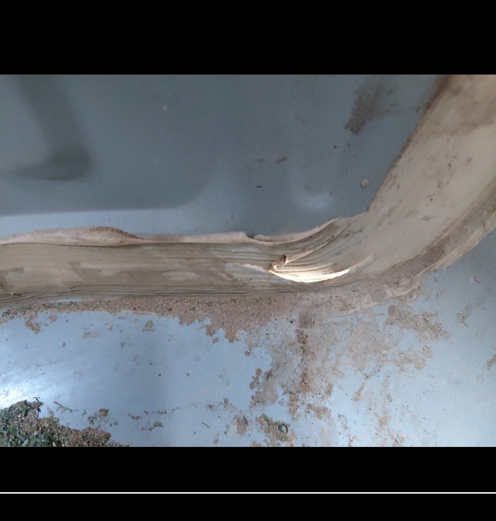 تويوتا كورولا  XLI EXECUTIVE  2021 image