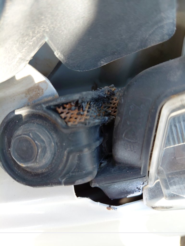 تويوتا كورولا  XLI EXECUTIVE  2021 image