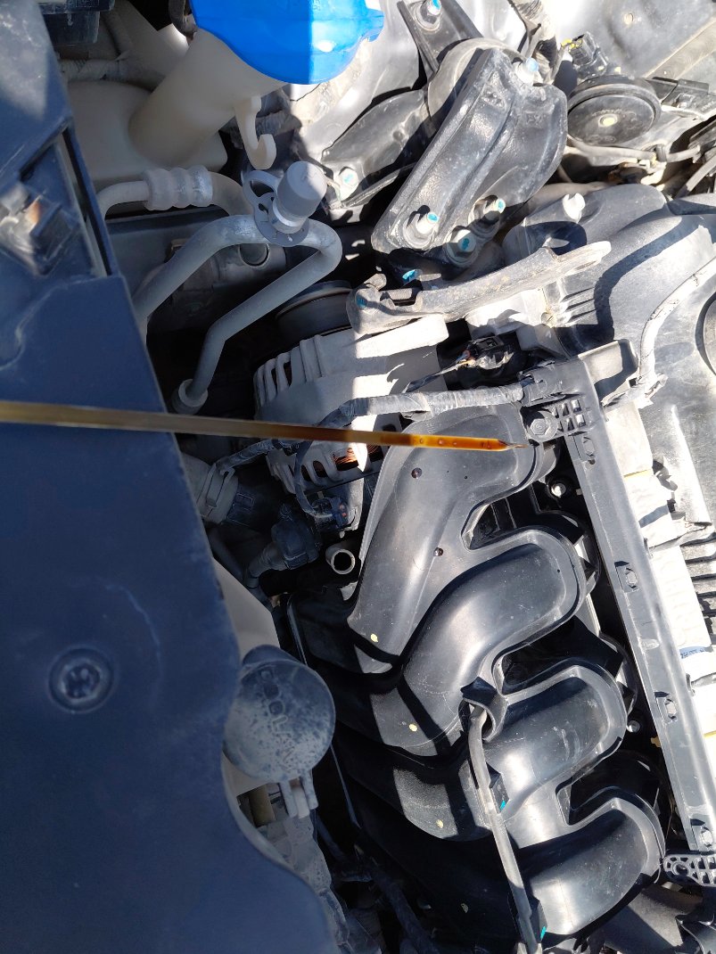 KIA Seltos LX 2021 image