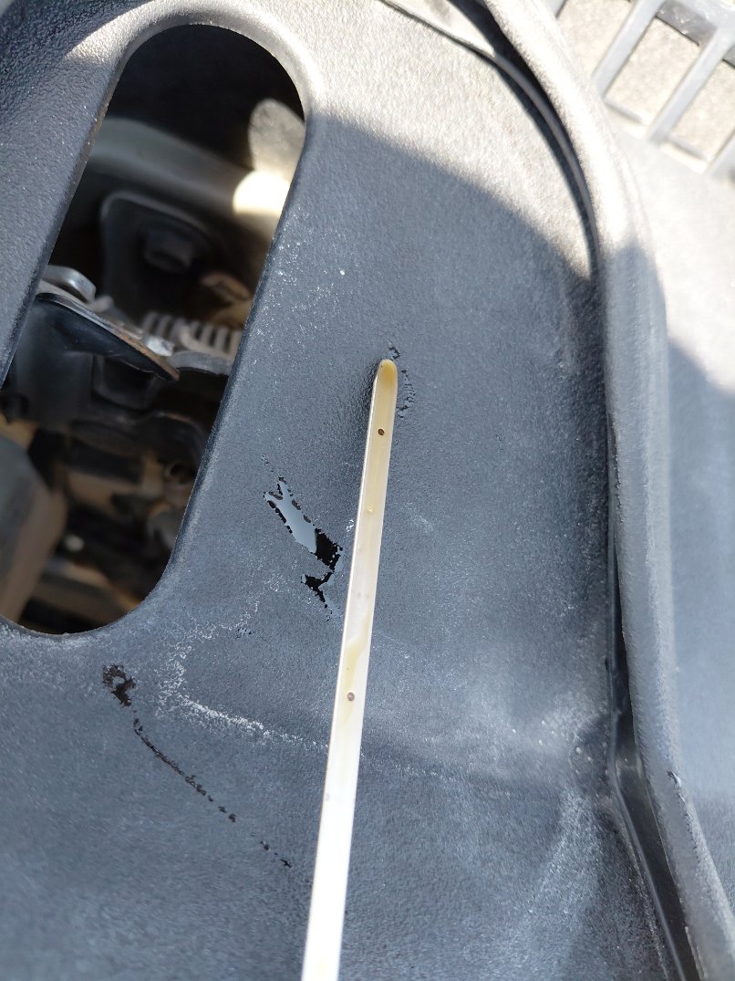 Toyota Corolla XLI EXECUTIVE M/R  2020 image