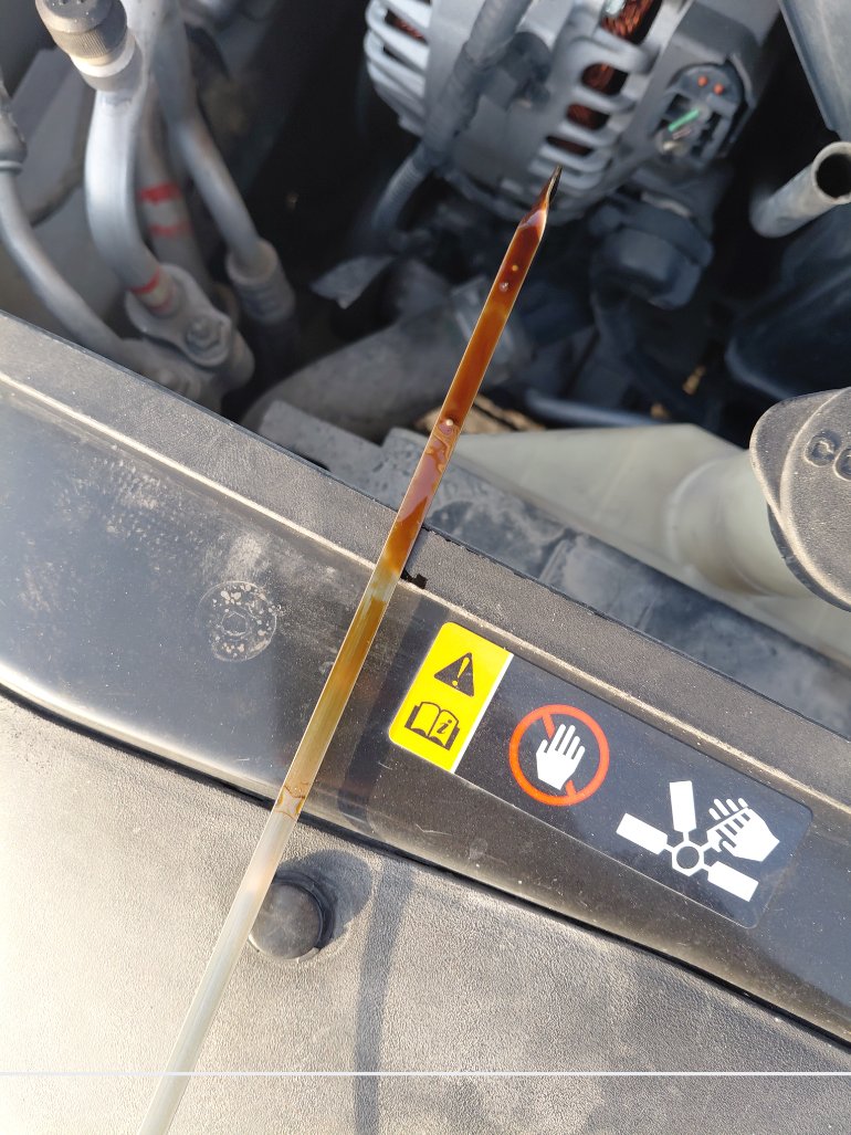 هيونداي إلنترا FLEET 2017 image