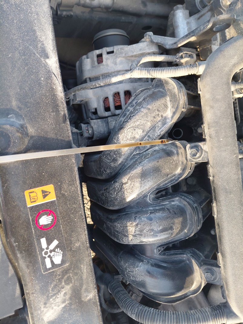 KIA Pegas EX 2021 image