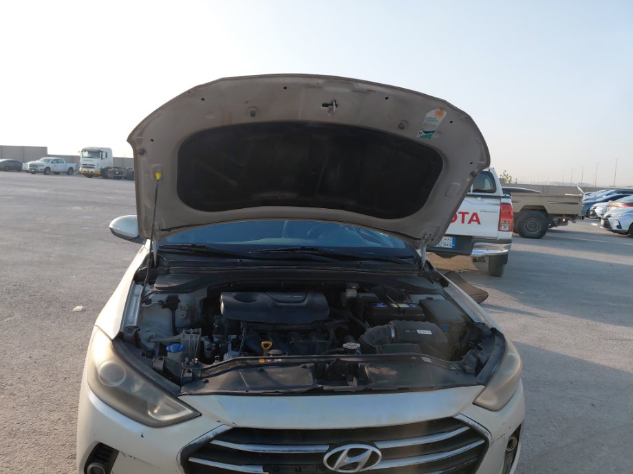 هيونداي إلنترا FLEET 2017 image