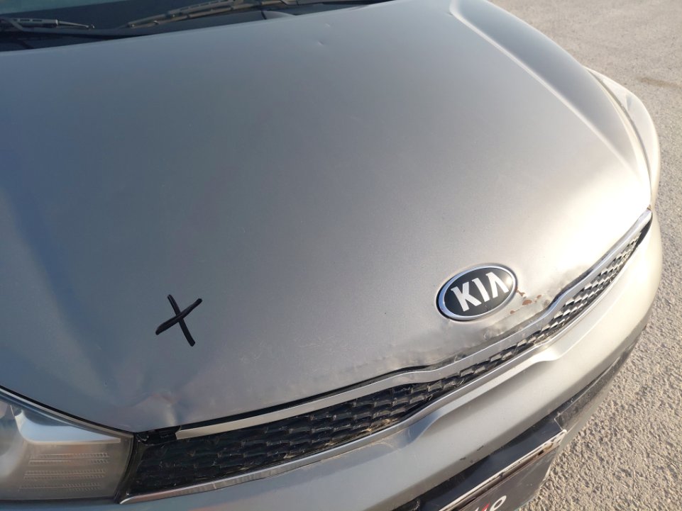 KIA Pegas EX 2021 image