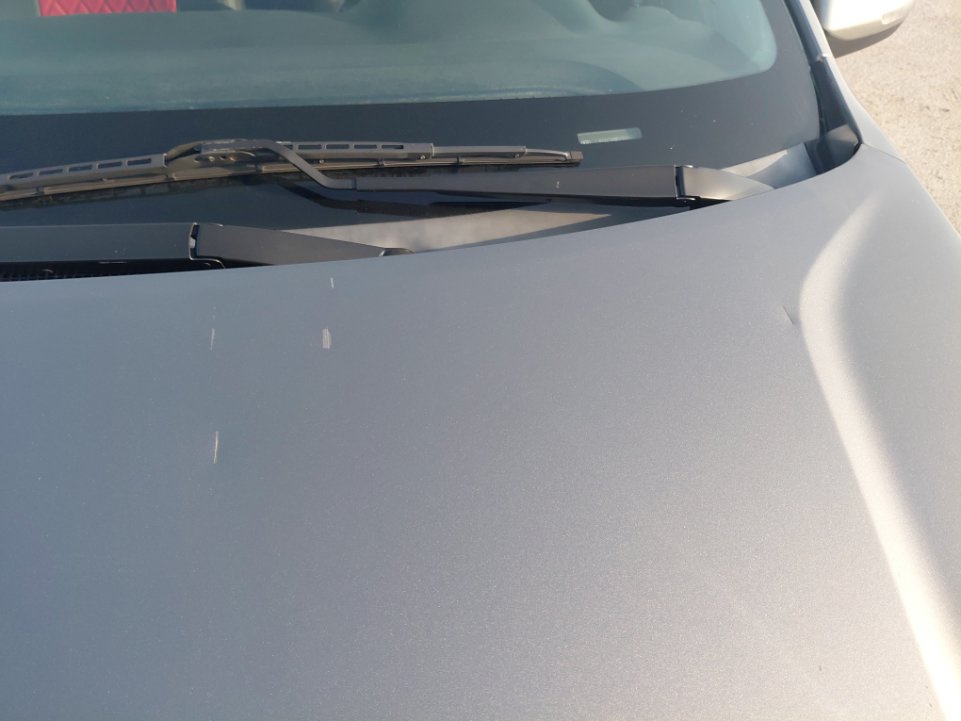 KIA Pegas EX 2021 image