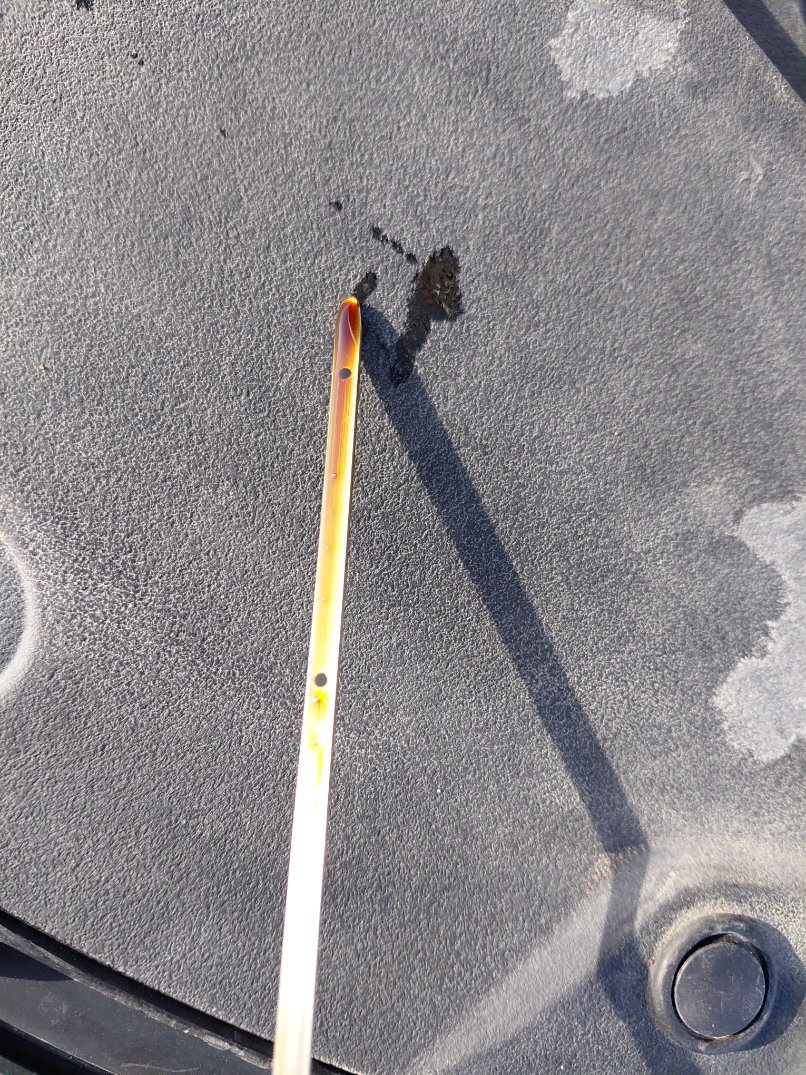 تويوتا يارس SD Y FLT 2022 image