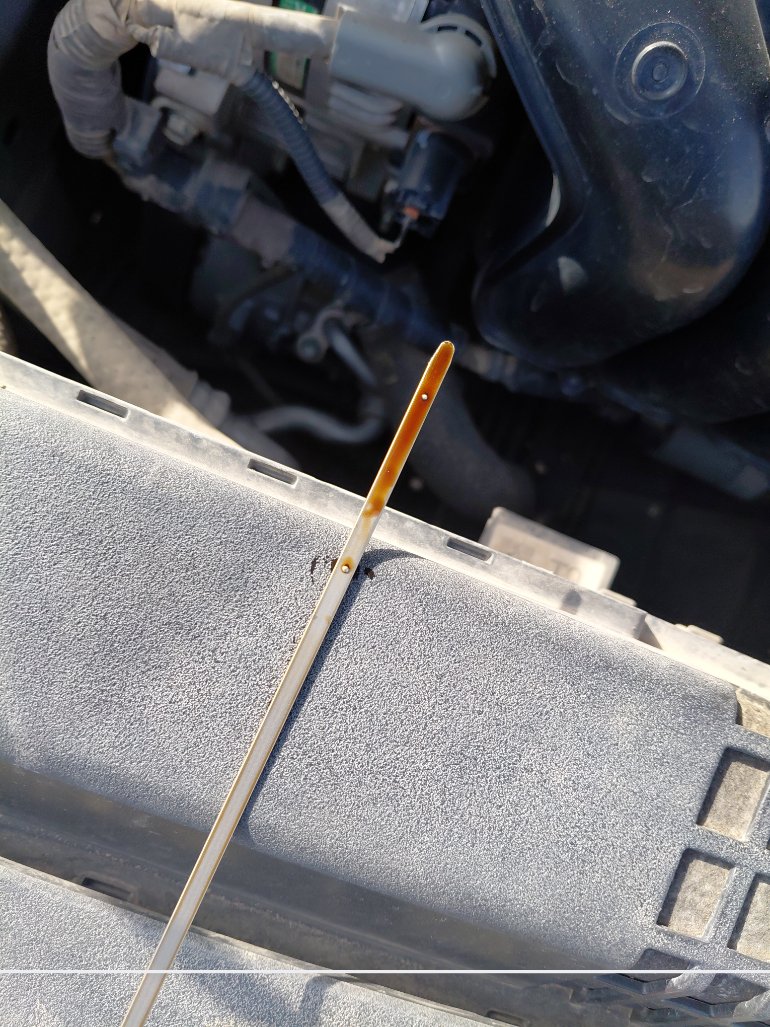 تويوتا كورولا XLI EXECUTIVE M/R  2020 image