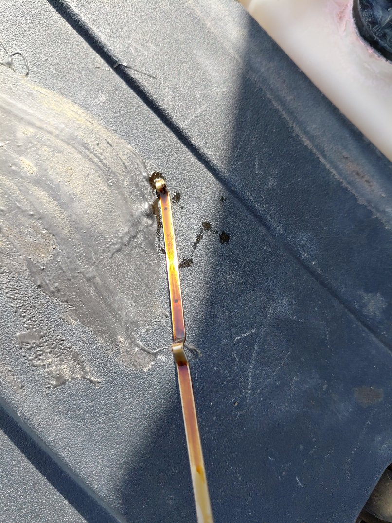 Toyota Camry GL 2016 image