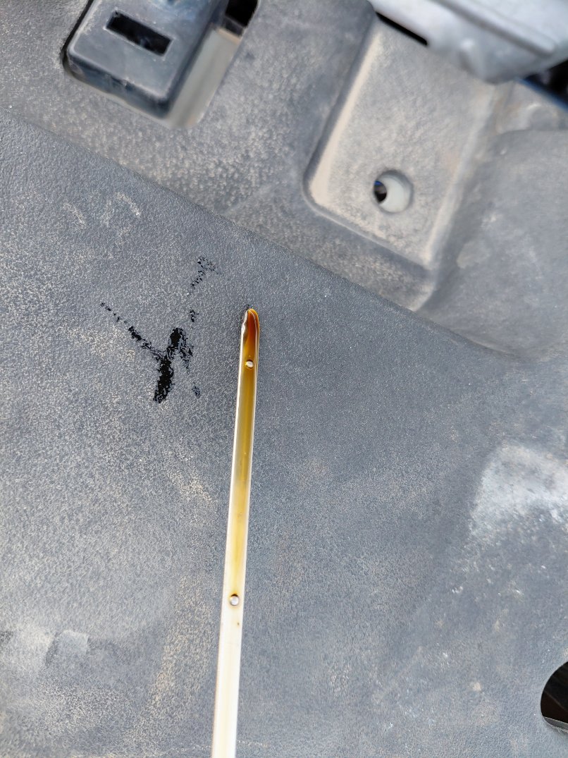 Toyota Yaris SD Y FLT(IA) 2021 image