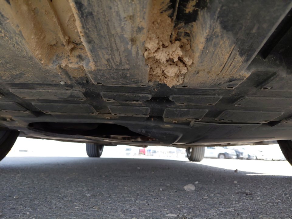 Geely Emgrand STD 2024 image