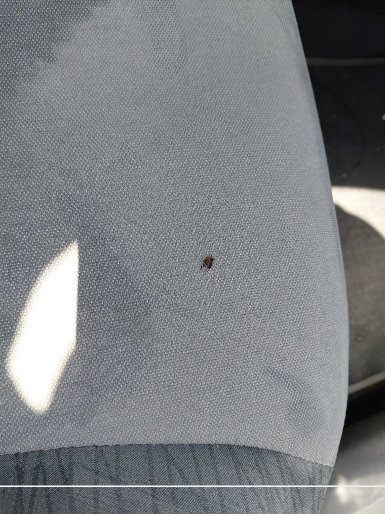 كيا بيجاس LX 2020 image