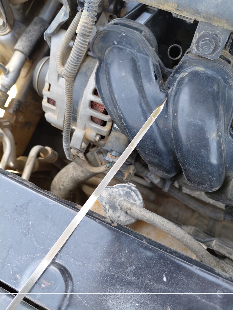 كيا بيجاس LX 2020 image