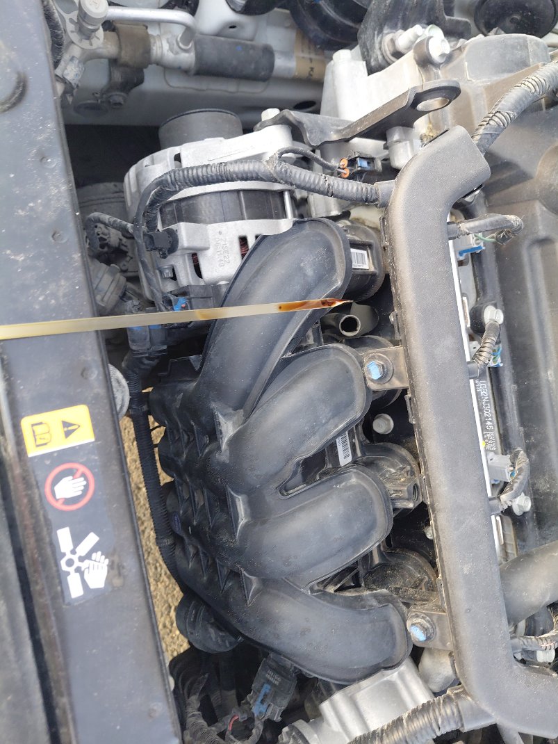 هيونداي أكسنت GL 2023 image