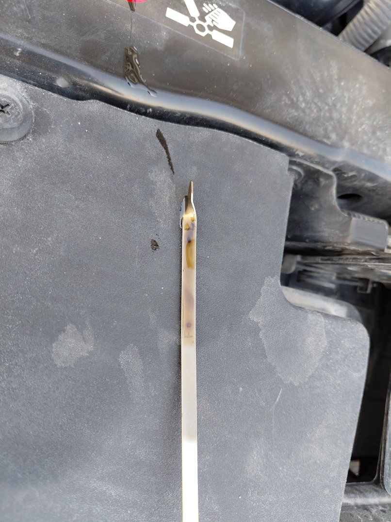 KIA Pegas FLEET  2020 image