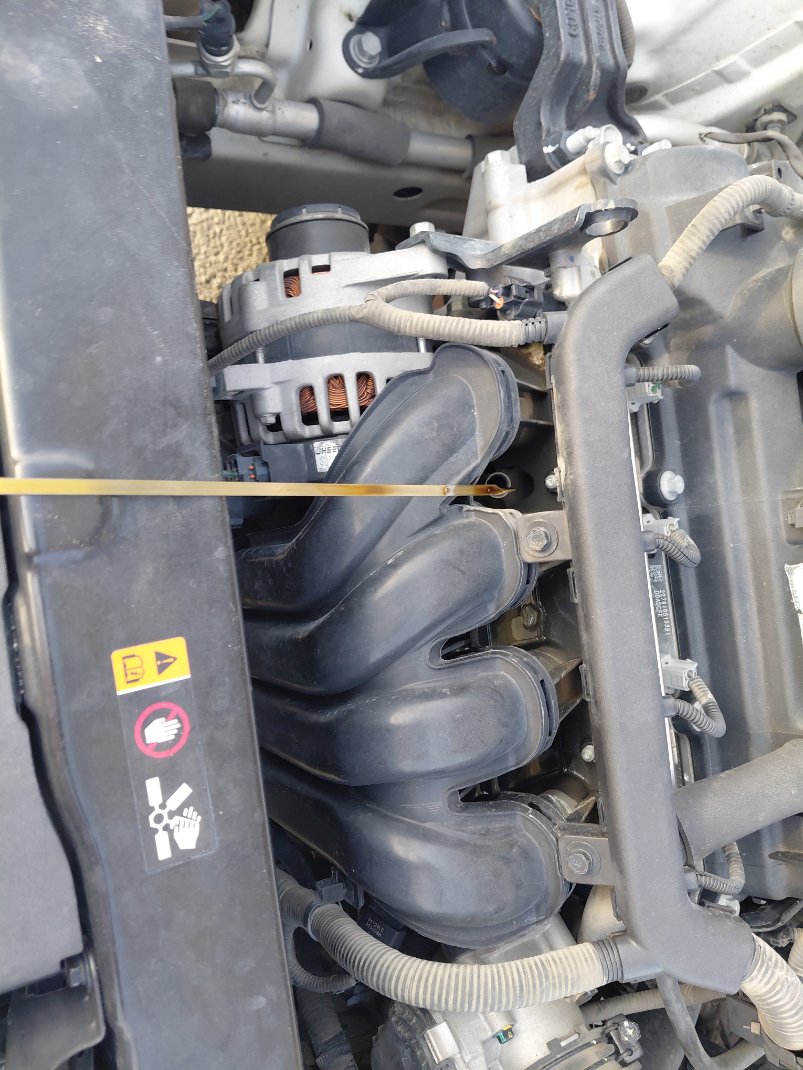 كيا بيجاس FLEET 2020 image