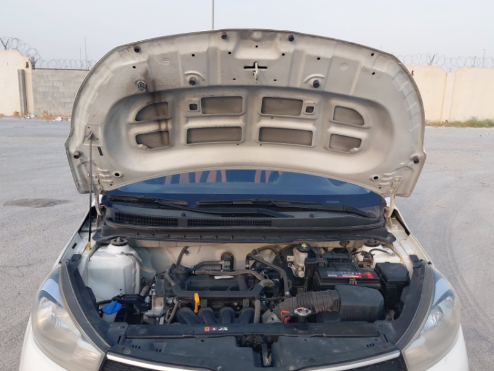 كيا بيجاس FLEET 2020 image