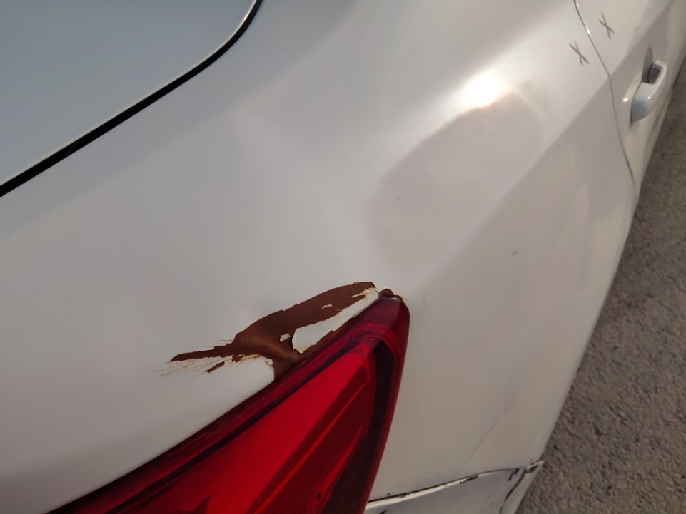 كيا بيجاس FLEET 2020 image