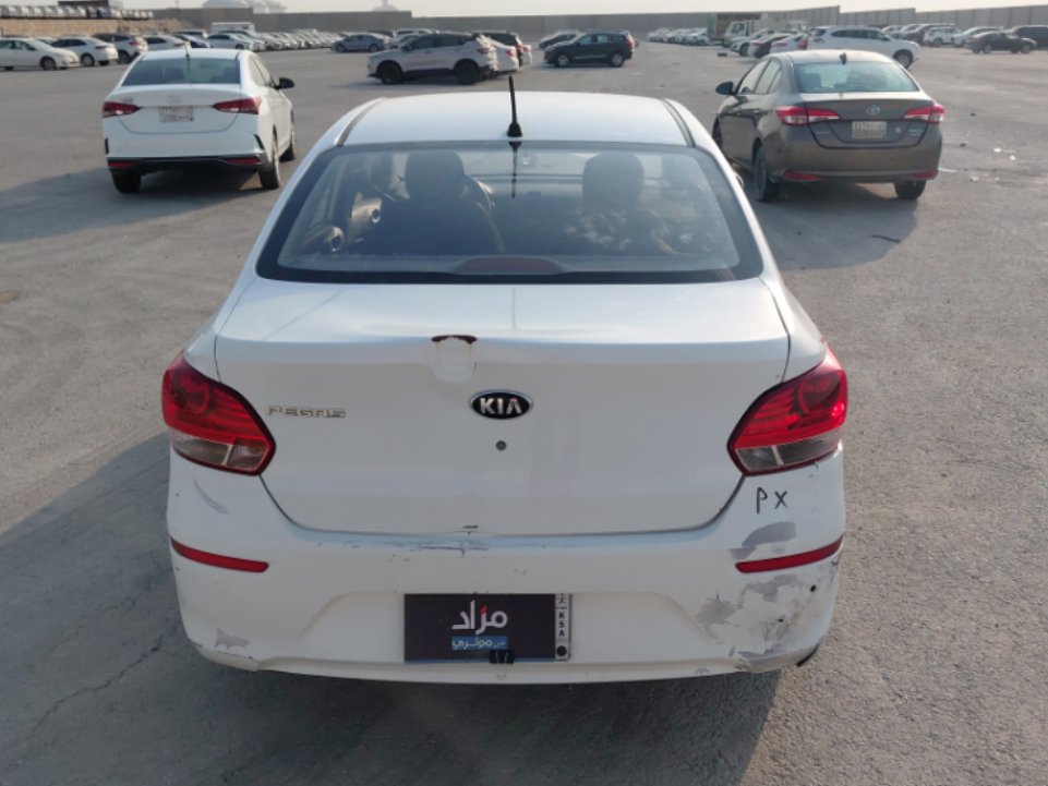 كيا بيجاس FLEET 2020 image