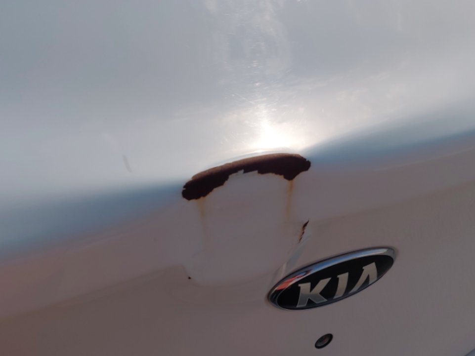 كيا بيجاس FLEET 2020 image