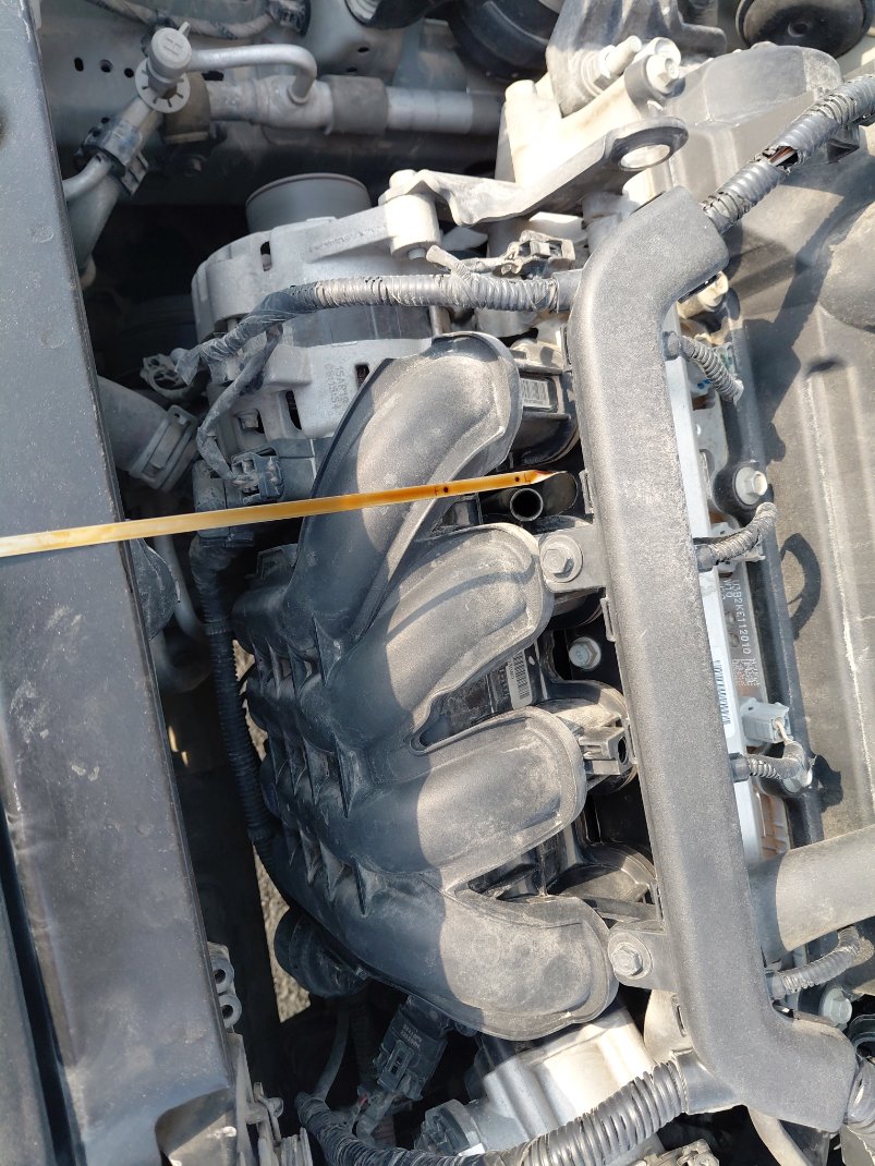 هيونداي أكسنت FLEET  2020 image