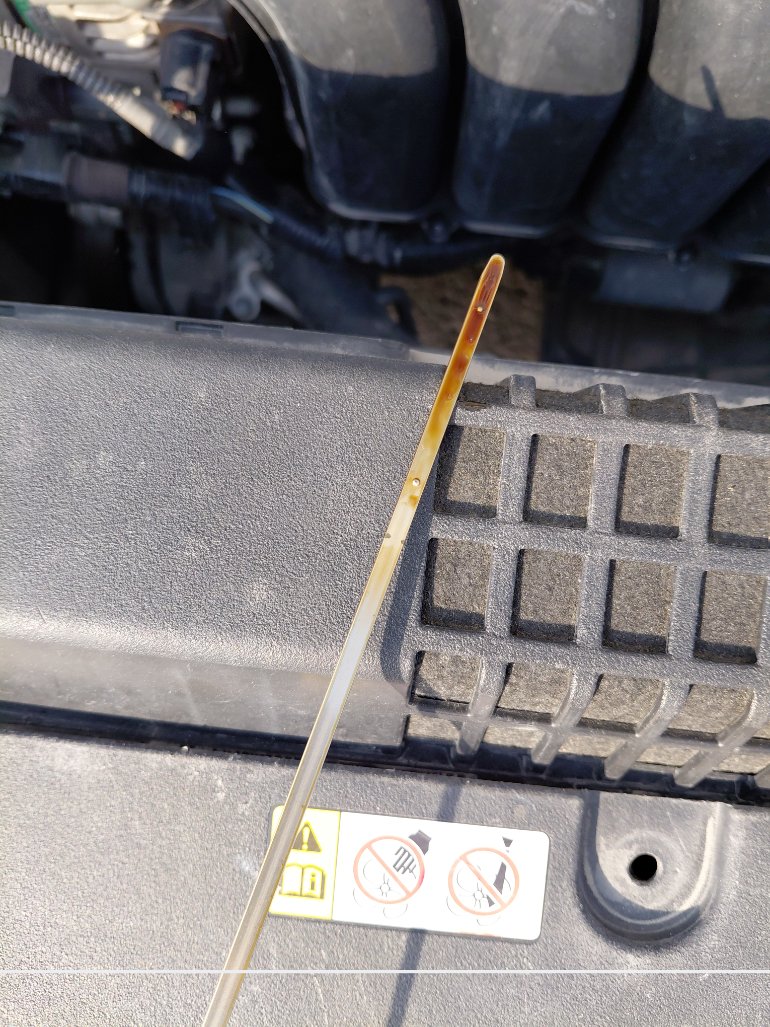 تويوتا كورولا XLI 2020 image