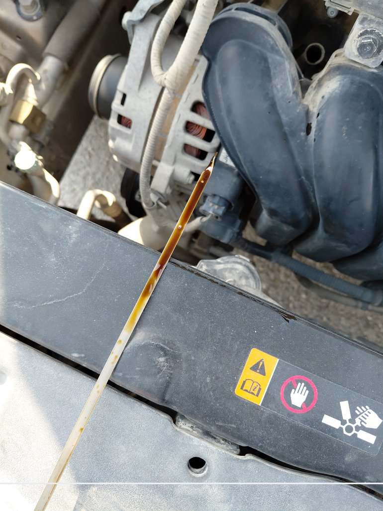 كيا بيجاس LX 2020 image