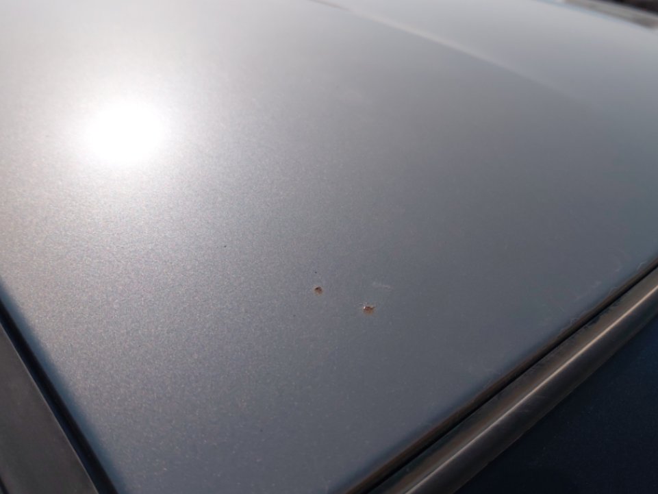 نيسان صني SV 2019 image