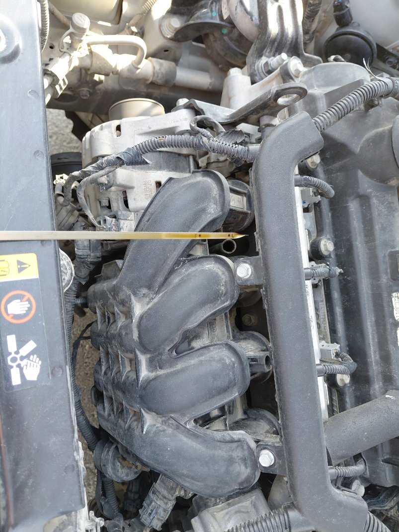 هيونداي أكسنت FLEET 2019 image