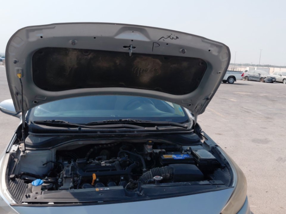 هيونداي أكسنت FLEET 2019 image