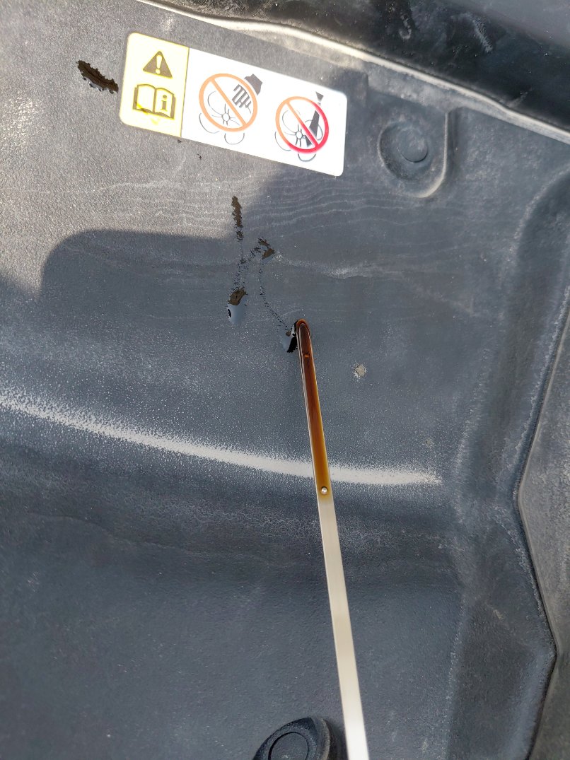 تويوتا كورولا XLI EXECUTIVE 2021 image