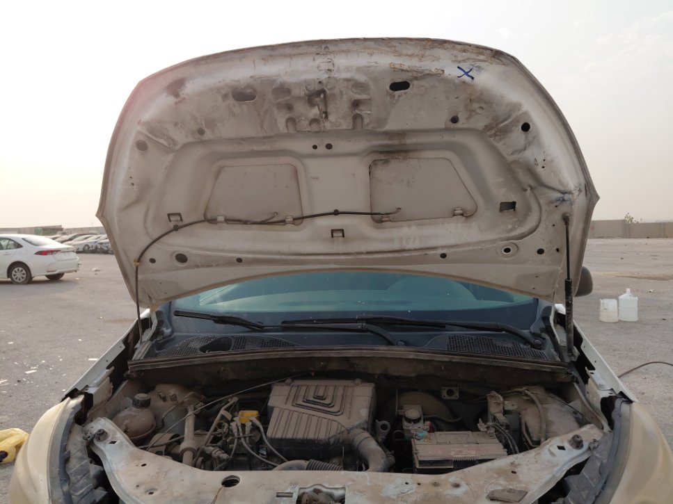 رينو دوكر STD 2019 image