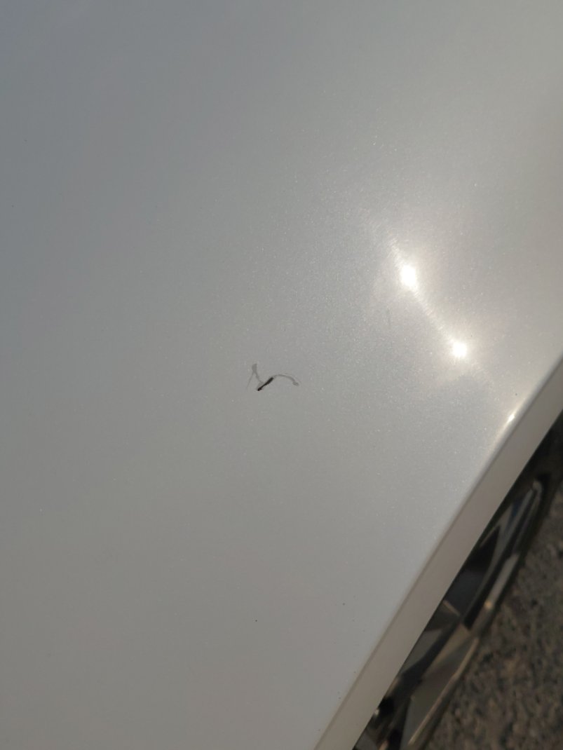 Hyundai Sonata FLEET 2021 image